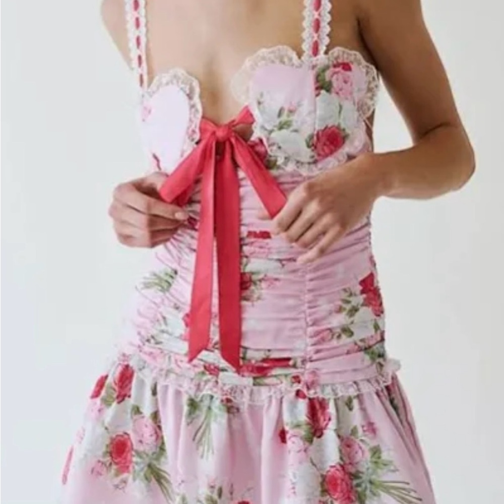 Floral Pink Lace Trim dress
For love or lemons